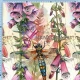 pre ordeer-Ważki botaniczne-Jersey 210g/m2