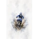 pre order- panel- motocross- jersey