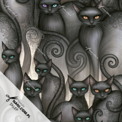 Black Cat